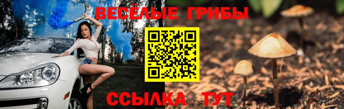 Нефтекамск  купить  сайты  Вход с VPN  Галлюциногенные грибы GOLDEN TEACHER 